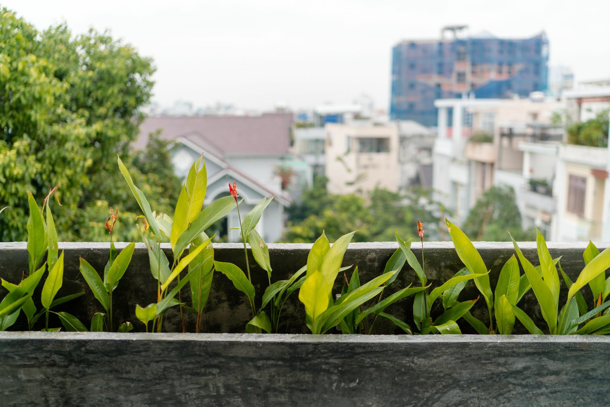 Iam Saigon Homestay Хошимін Екстер'єр фото